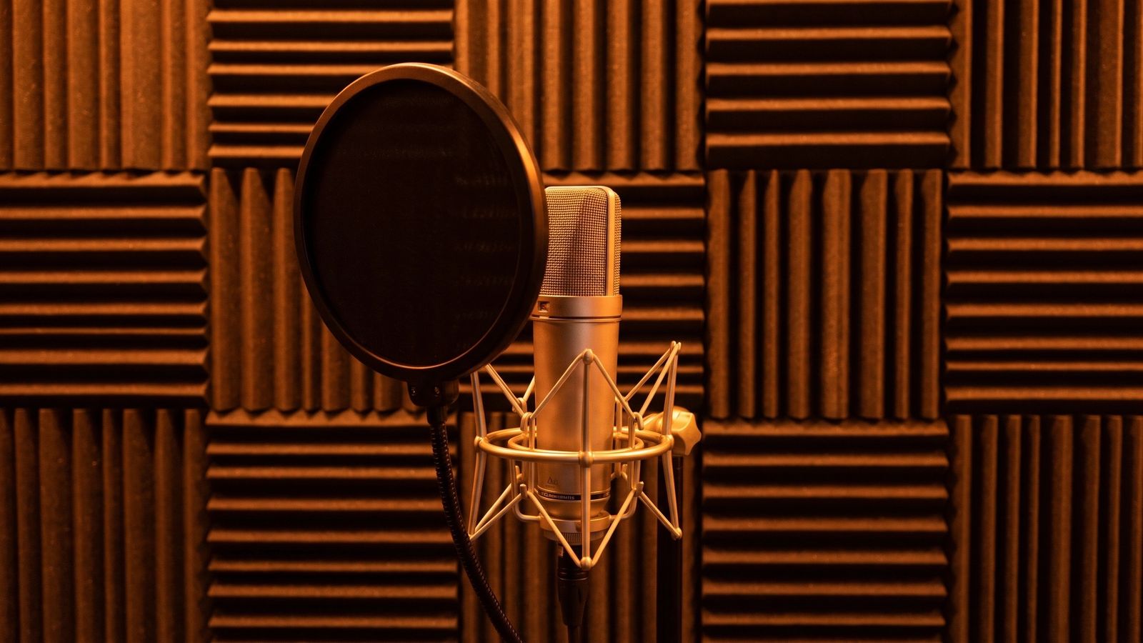 Vocal mic